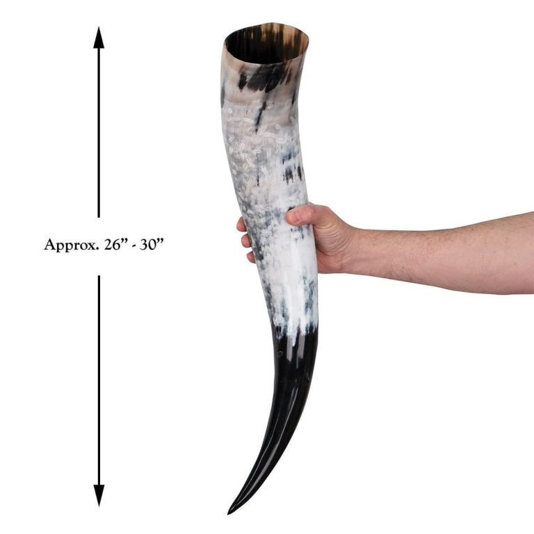 Oversized Drinking Horn with Wooden Stand
