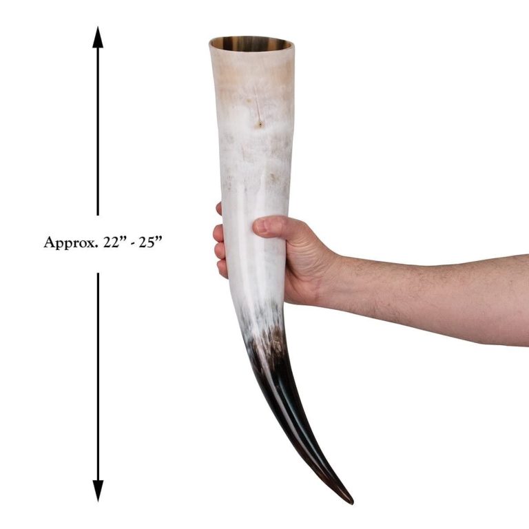 Oversized Drinking Horn with Stand