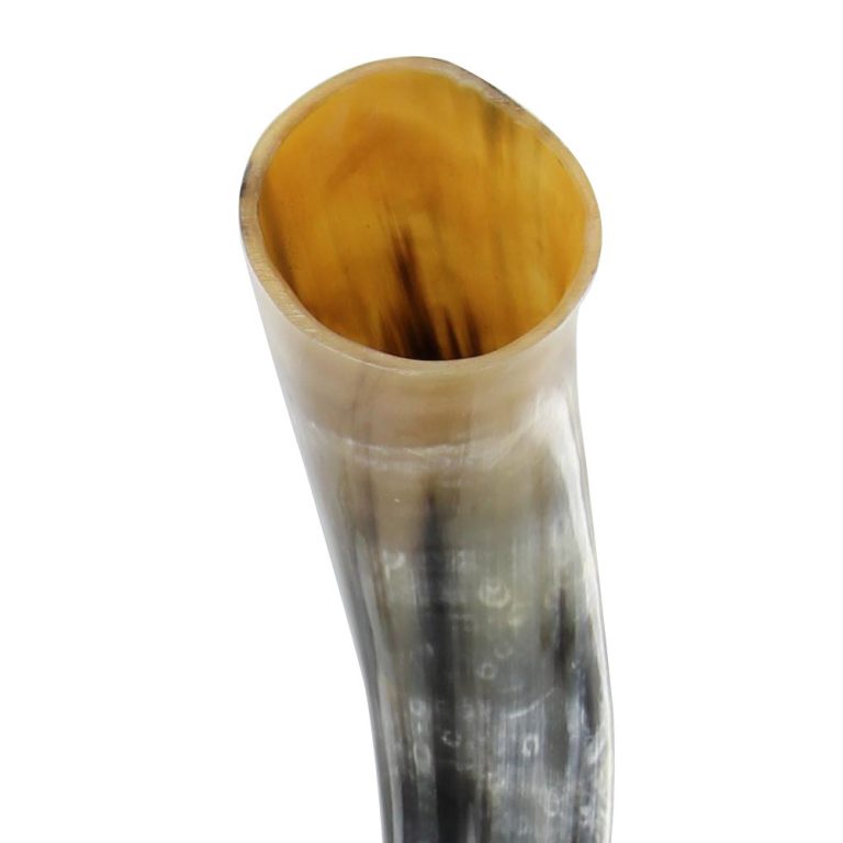 Natural Drinking Horn for Beverages