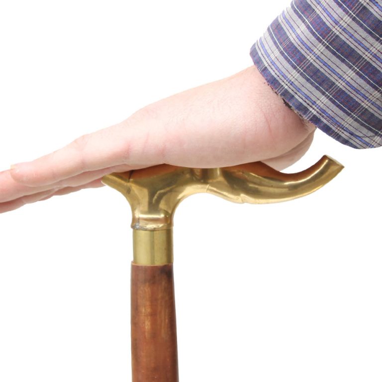 Brass Elephant Head Cane with Sheesham Grip