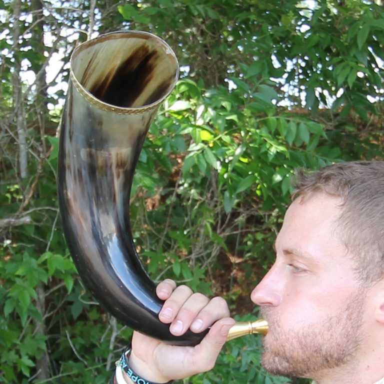 Cow Horn Trumpet with Brass Rim