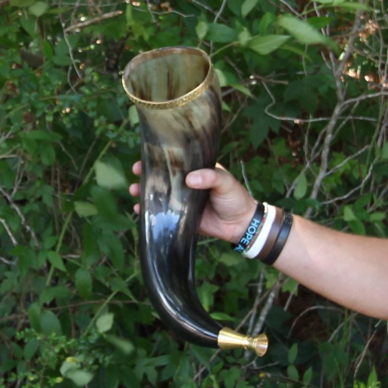 Cow Horn Trumpet with Brass Rim