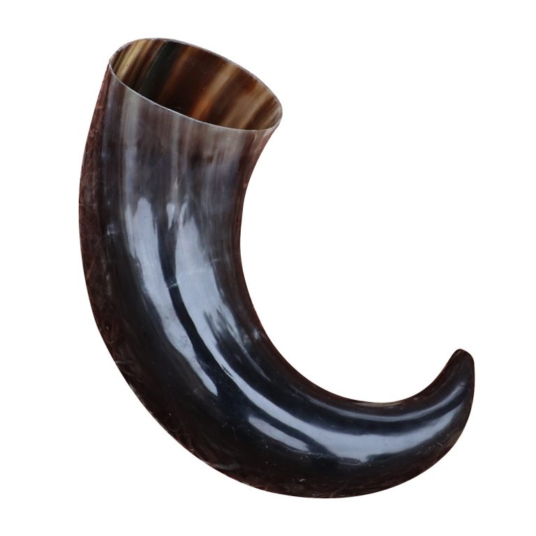 Large Medieval Ale Mead Drinking Horn