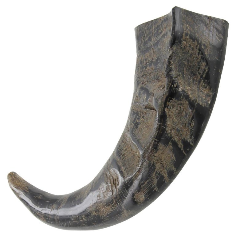 Viking Drinking Horn for Winter Solstice Feast