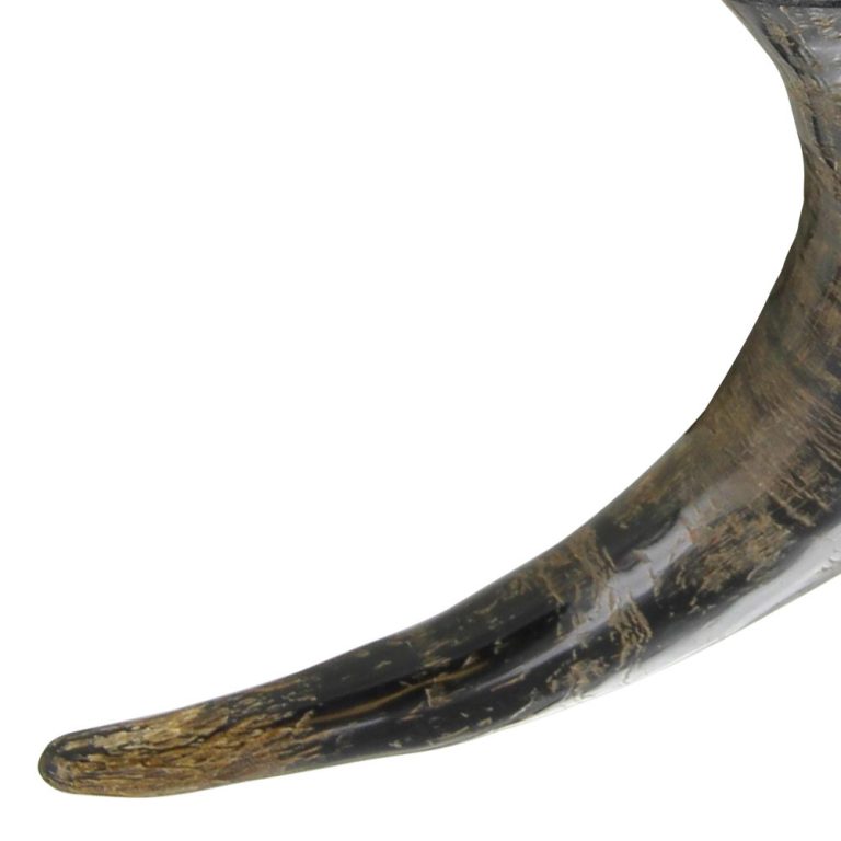 Viking Drinking Horn for Winter Solstice Feast