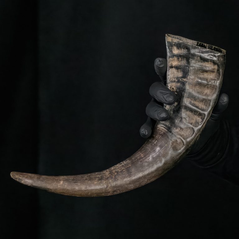 Viking Celebration Drinking Horn for Renaissance Events