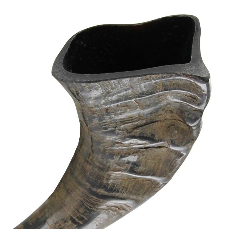Viking Celebration Drinking Horn for Renaissance Events