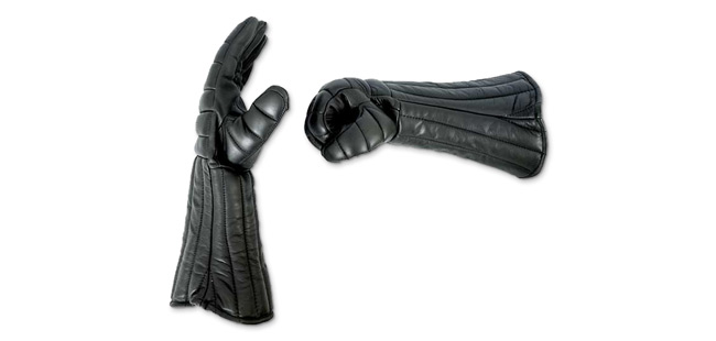 Rapier Protection Gloves