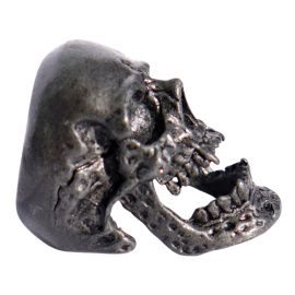 Viking Skull Ring for Warriors